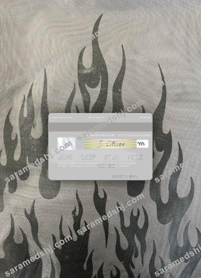 Lithuania Danske Bank visa debit card photolook back